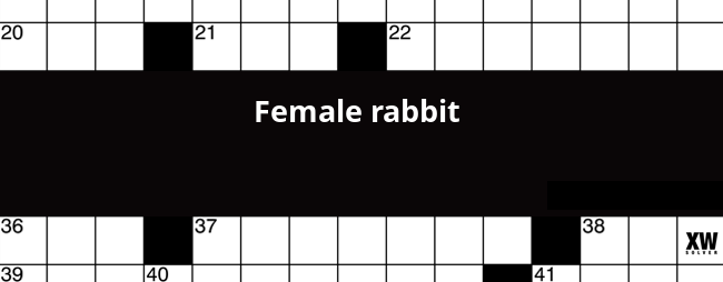 female rabbit crossword