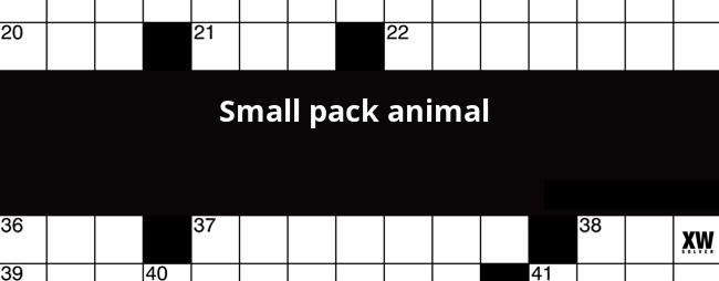 Small pack animal crossword clue